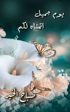 some white flowers and two butterflies with arabic writing on the bottom right hand corner, in front of a green background