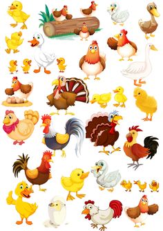 many different types of chickens on a white background