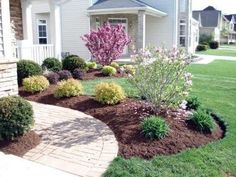 landscaping in front of a house with shrubs and flowers