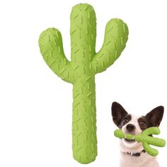 MewaJump Dog Chew Toys, Durable Rubber Dog Toys for Aggressive Chewers, Cactus Dog Toys For Aggressive Chewers, Christmas Dog Toy, Dog Squeaky Toys, Puppy Chew Toys, Dog Toys Indestructable, Puppy Teething, Tough Dog Toys, Farm Dogs, Puppy Chewing