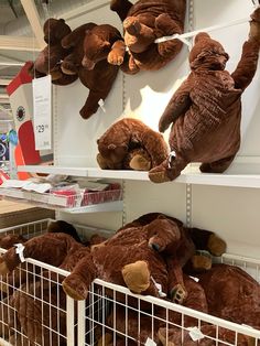 stuffed animals are on shelves in a store