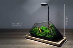 a lamp that is sitting on top of a table with some plants inside of it