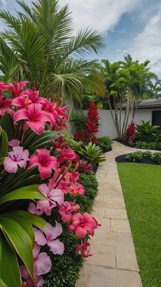 a garden with lots of pink flowers and palm trees