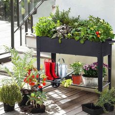 a potted planter filled with lots of plants on top of a wooden deck