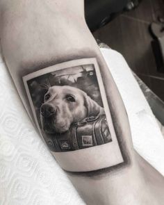 a black and white photo of a dog on the arm