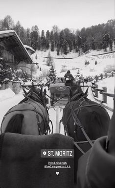 two horses are pulling a sleigh in the snow