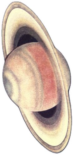 an illustration of the inner and outer parts of a human's head, with one section missing