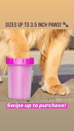 a dog with its paw in a pink cup that says swipe up to 5 inch paws