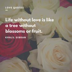 roses with the quote love quotes life without love is like a tree without blossoms or fruit