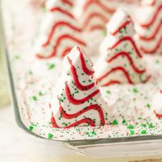 there are many small christmas trees in the tray