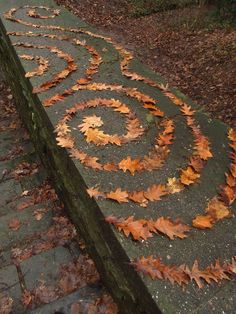 leaves on the ground next to a wooden bench with a spiral design made out of them