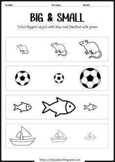 the worksheet for preschool to learn how to draw and color pictures with animals