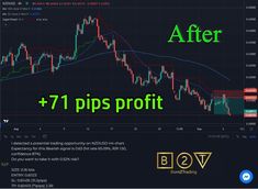 the forex trading system with text that reads, after 71 pips profit