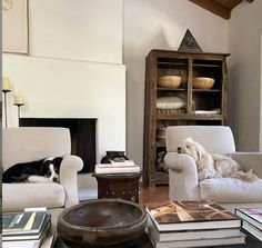 a living room filled with furniture and a dog laying on top of the couches