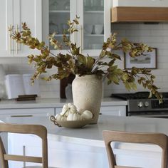 a vase with some plants in it sitting on a kitchen counter next to two chairs