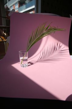 a palm leaf sitting on top of a table next to a glass filled with water