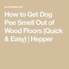 the words how to get dog pee smell out of wood floors quick and easy help