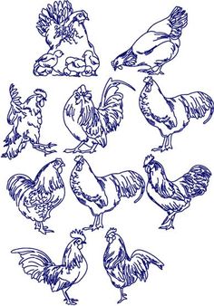 chickens and roosters are drawn in blue ink