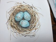 three blue eggs in a nest on top of paper