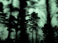 trees are seen through the window of a vehicle in this blurry photo taken by someone using a cell phone