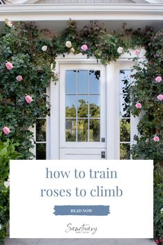 a white door with pink roses on it and the words how to train roses to climb