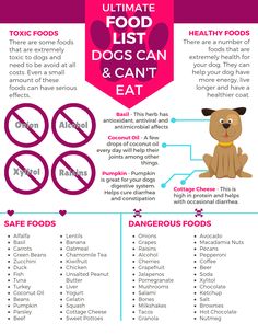 the ultimate food list for dogs and cats is shown in this graphic above it's description