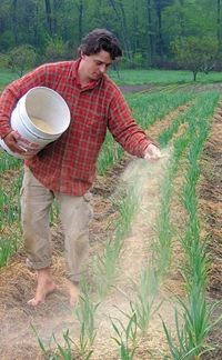 a man standing in a field holding a bucket