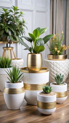 white and gold planters with plants in them on a wooden table next to potted plants