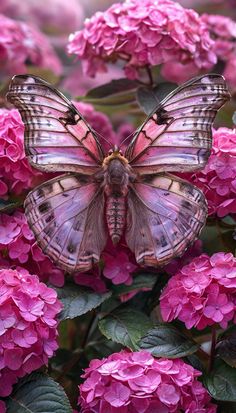 a butterfly sitting on top of pink flowers in the middle of it's wings