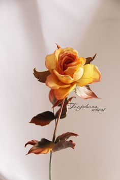 a single yellow rose is in a vase