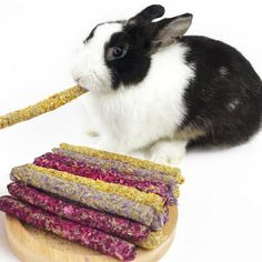 a black and white rabbit eating some food