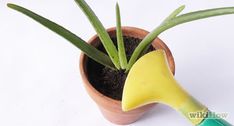 a small potted plant with a yellow shovel sticking out of it's center