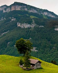 a small house sitting on top of a lush green hillside next to a forest covered mountain