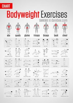 an exercise chart showing the different exercises to do with dumbs and chest presses, which are