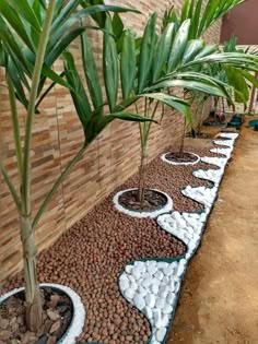 Landscaping Ideas Diy Gas Fire Pit, Bathroom Remodel Small Diy, Evergreen Candle, Stepping Stone Walkways, Solar Garden Decor, Growing Sweet Potatoes, Trench Drain