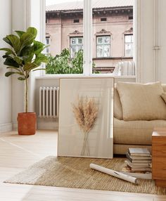 a living room filled with furniture and a plant next to a window on top of a hard wood floor