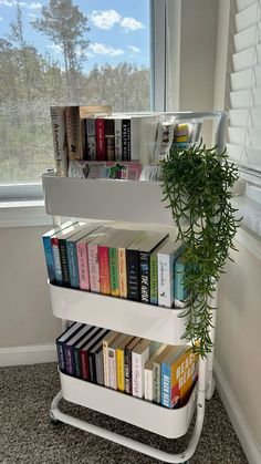 there is a book shelf with many books on it and a plant in the corner