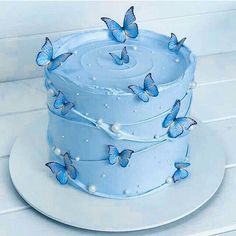 a blue cake with butterflies on it sitting on a white plate next to a wall