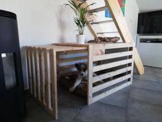 there is a dog that is sitting in the crate under the stairs and next to it is a potted plant