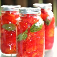 three jars filled with sliced tomatoes and basil