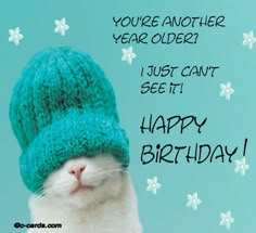 a white cat wearing a green knitted hat with the words, you're another year older i just can't see it happy birthday