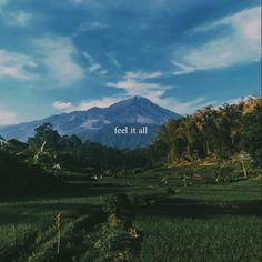 a field with mountains in the background and words that read feel it all on them