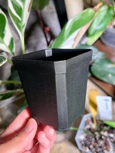 a person holding up a black planter in front of some potted plants on a table