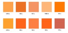 an orange color chart with different shades