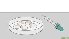 an illustration of eggs in a bowl with a spatula next to it on a table