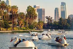 several boats floating on top of a lake next to tall buildings and palm trees in the background