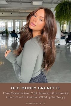 The Expensive Old Money Brunette (Gallery) | Rich Brunette Hair Color Trend 2024 | Expensive Brown Hair Aesthetic Inspo | Light brown hair | dark brown hair New Brown Hair Trends, Pretty Blue Eyed Brunette, Chocolate Burnett Hair, Brown Hair Subtle Money Piece, Rich Dimensional Brunette Hair Color, Colors That Look Good With Brown Hair Clothes, Okd Money Brunette Hair, Chocolate Hair Money Piece, All Over Color With Money Piece