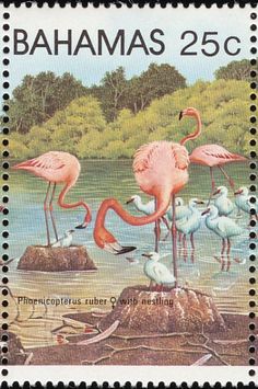 a stamp with flamingos and seagulls on it