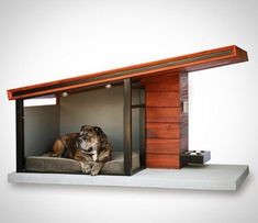 (paid link) The pet houses provides a cosy shelter and can be used both indoors and outdoors. Since it is light in weight, you can easily move the houses from ... Luxury Dog House, Small Dog House, Modern Dog Houses, Expensive Dogs, Dog House Diy