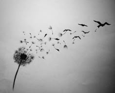 a black and white photo of a dandelion blowing in the wind with birds flying around